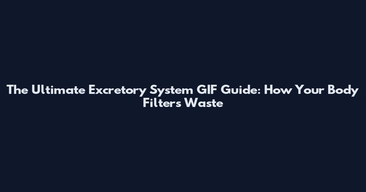 The Ultimate Excretory System GIF Guide: How Your Body Filters Waste