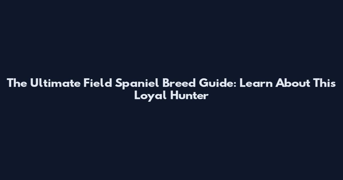 The Ultimate Field Spaniel Breed Guide: Learn About This Loyal Hunter
