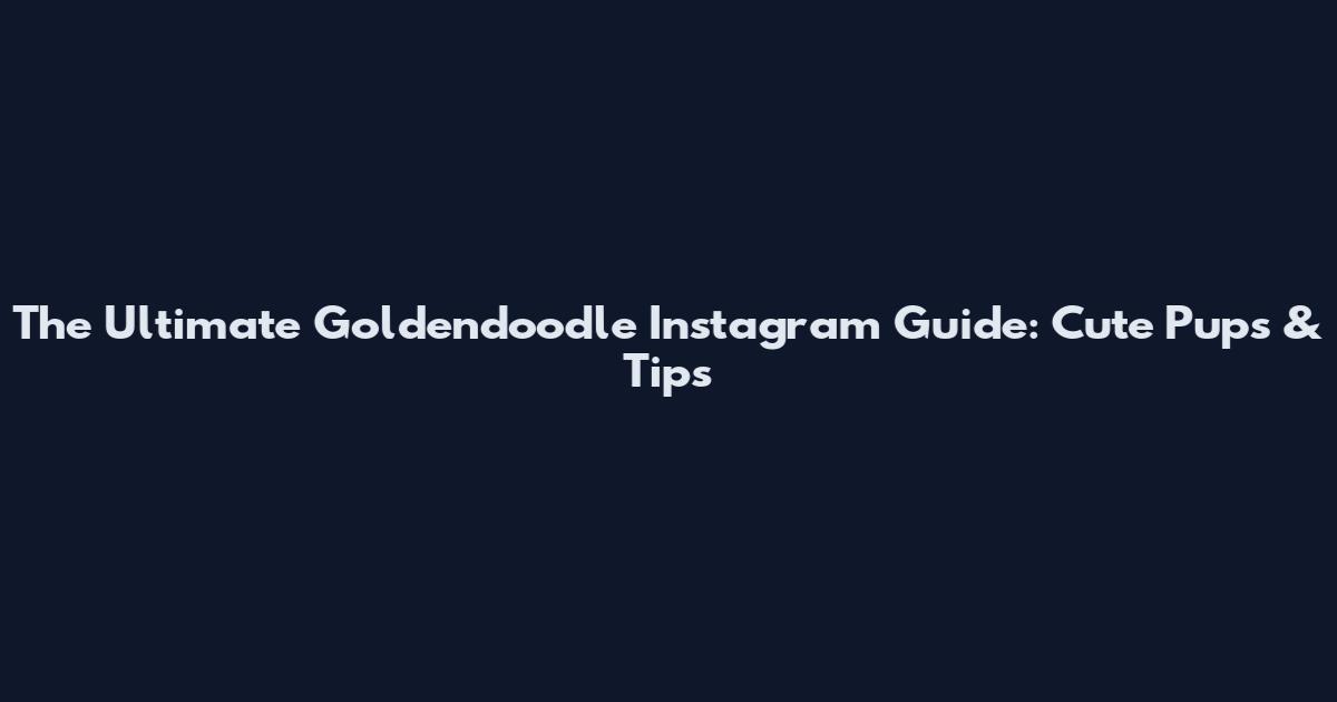 The Ultimate Goldendoodle Instagram Guide: Cute Pups & Tips