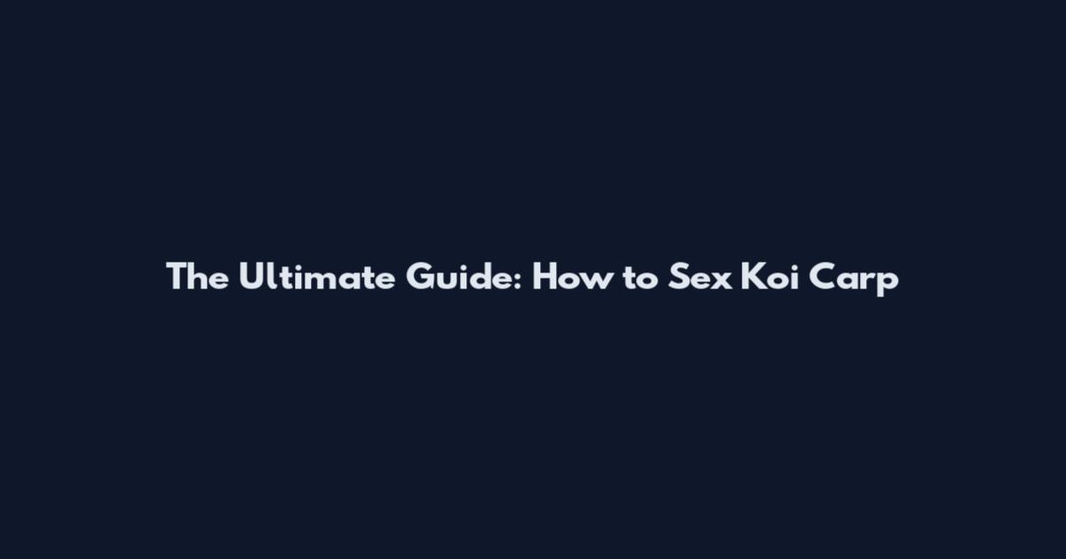 The Ultimate Guide: How to Sex Koi Carp