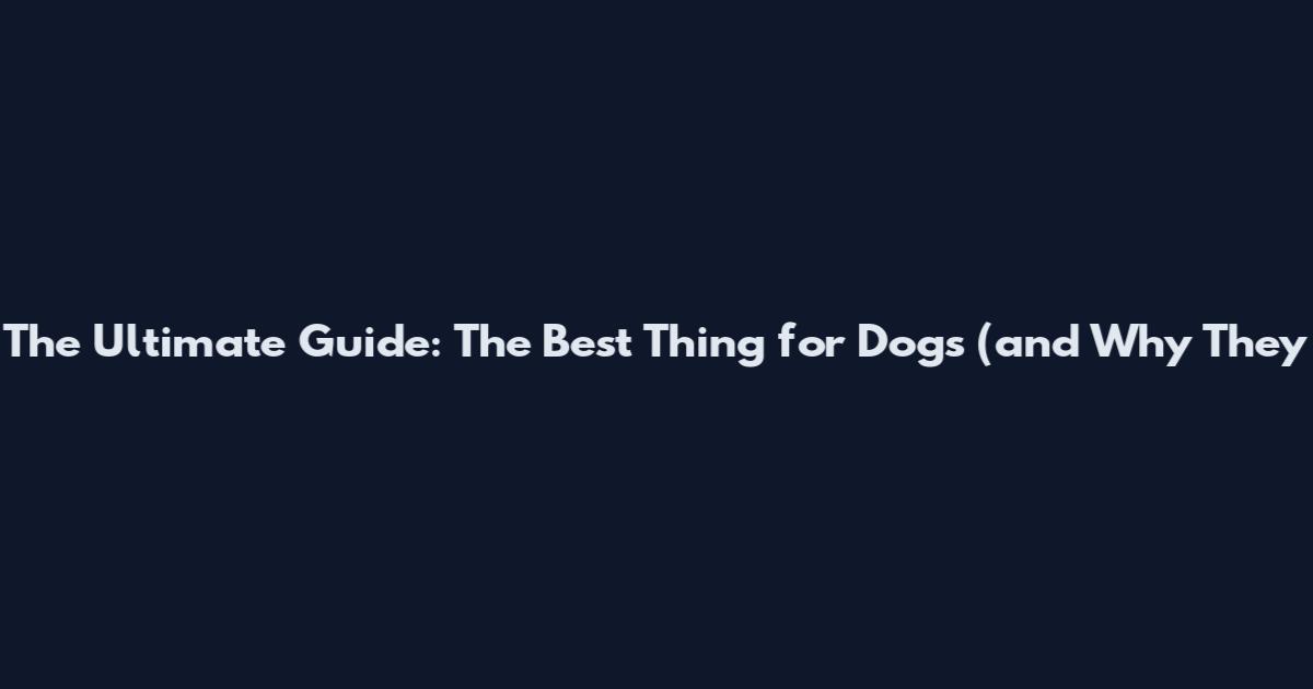 The Ultimate Guide: The Best Thing for Dogs (and Why They