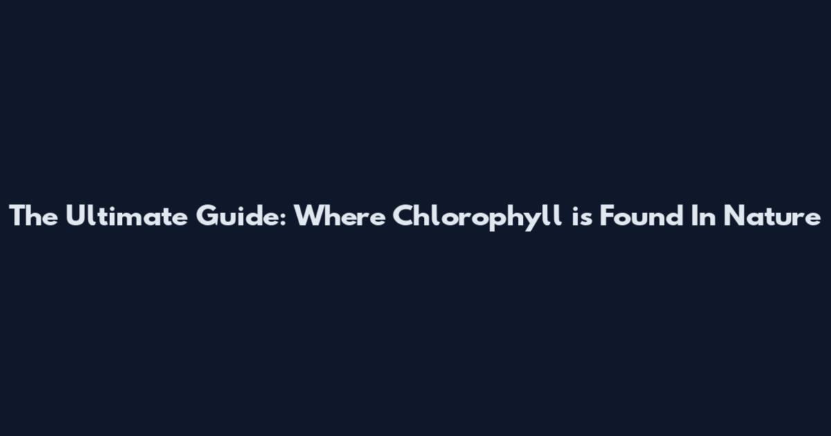 The Ultimate Guide: Where Chlorophyll is Found In Nature