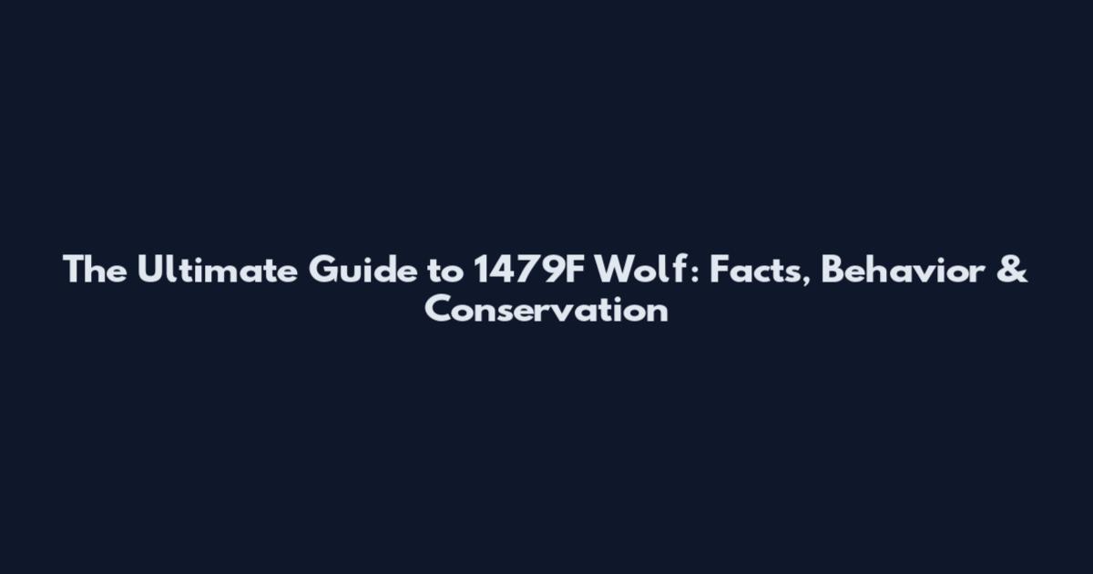 The Ultimate Guide to 1479F Wolf: Facts, Behavior & Conservation