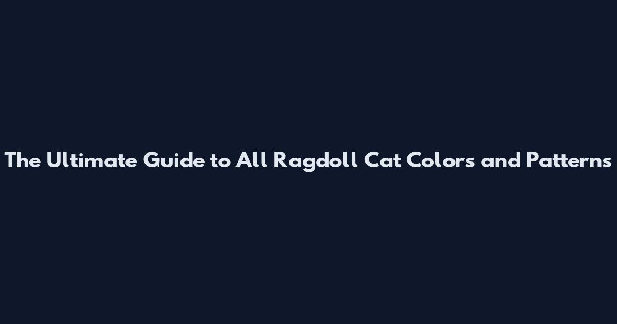 The Ultimate Guide to All Ragdoll Cat Colors and Patterns