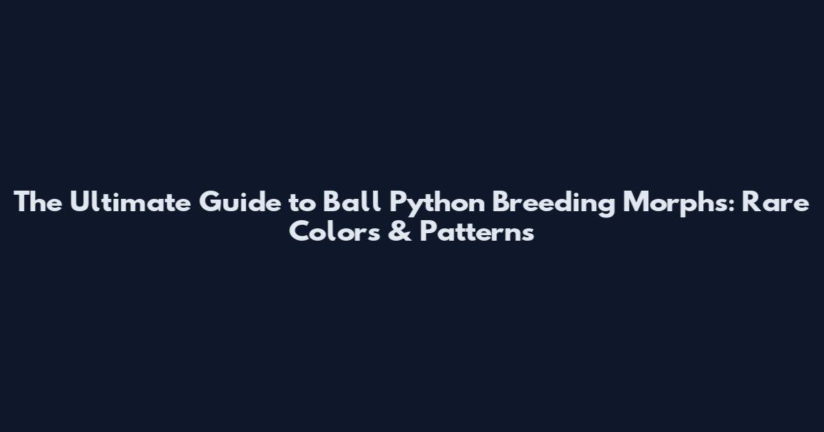 The Ultimate Guide to Ball Python Breeding Morphs: Rare Colors & Patterns