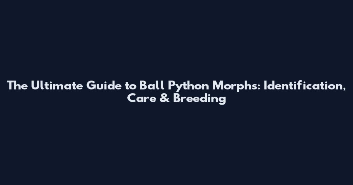 The Ultimate Guide to Ball Python Morphs: Identification, Care & Breeding