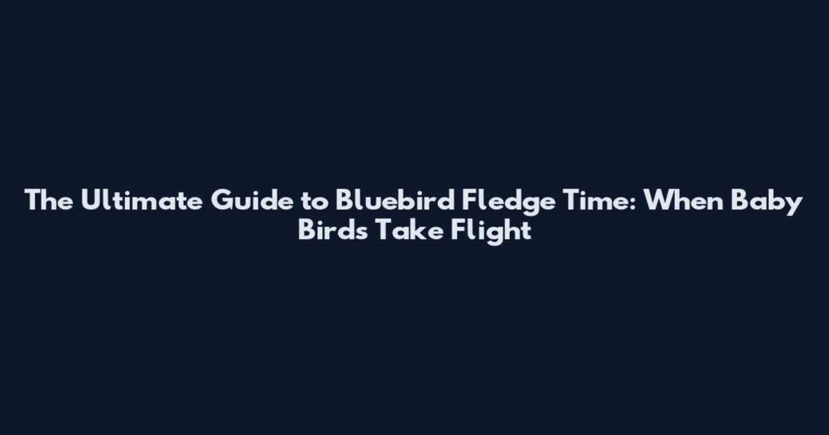 The Ultimate Guide to Bluebird Fledge Time: When Baby Birds Take Flight