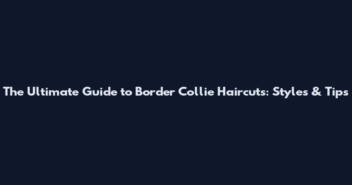 The Ultimate Guide to Border Collie Haircuts: Styles & Tips