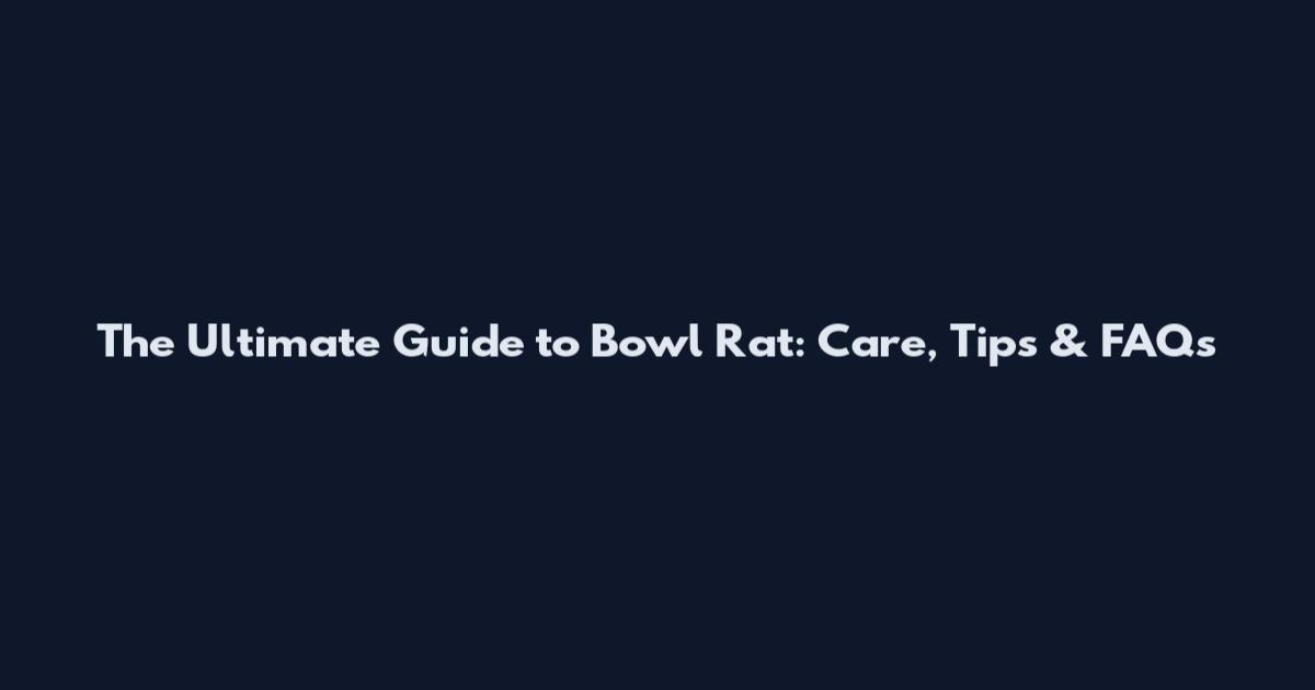 The Ultimate Guide to Bowl Rat: Care, Tips & FAQs