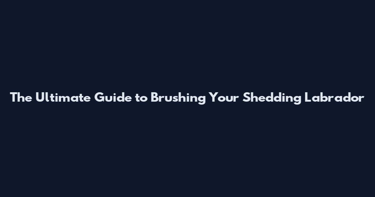 The Ultimate Guide to Brushing Your Shedding Labrador