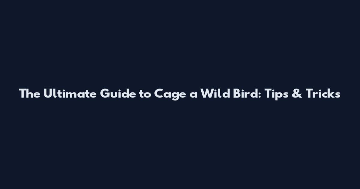 The Ultimate Guide to Cage a Wild Bird: Tips & Tricks