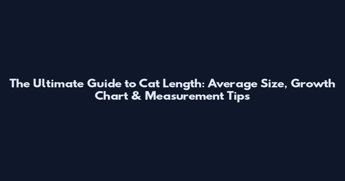 The Ultimate Guide to Cat Length: Average Size, Growth Chart & Measurement Tips