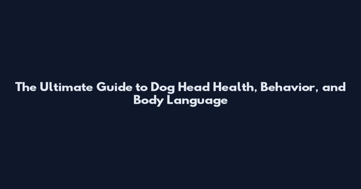 The Ultimate Guide to Dog Head Health, Behavior, and Body Language