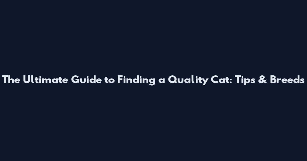 The Ultimate Guide to Finding a Quality Cat: Tips & Breeds
