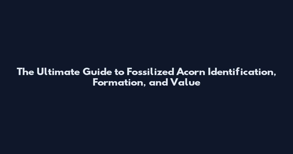 The Ultimate Guide to Fossilized Acorn Identification, Formation, and Value
