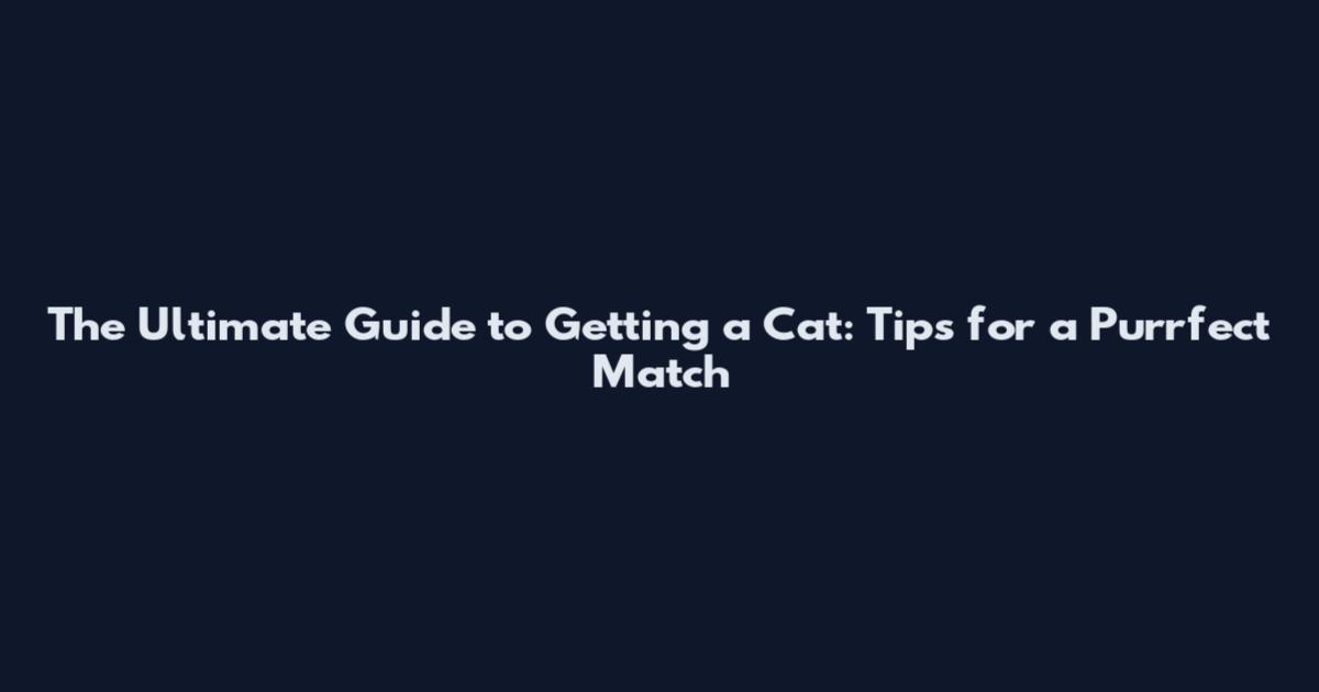 The Ultimate Guide to Getting a Cat: Tips for a Purrfect Match