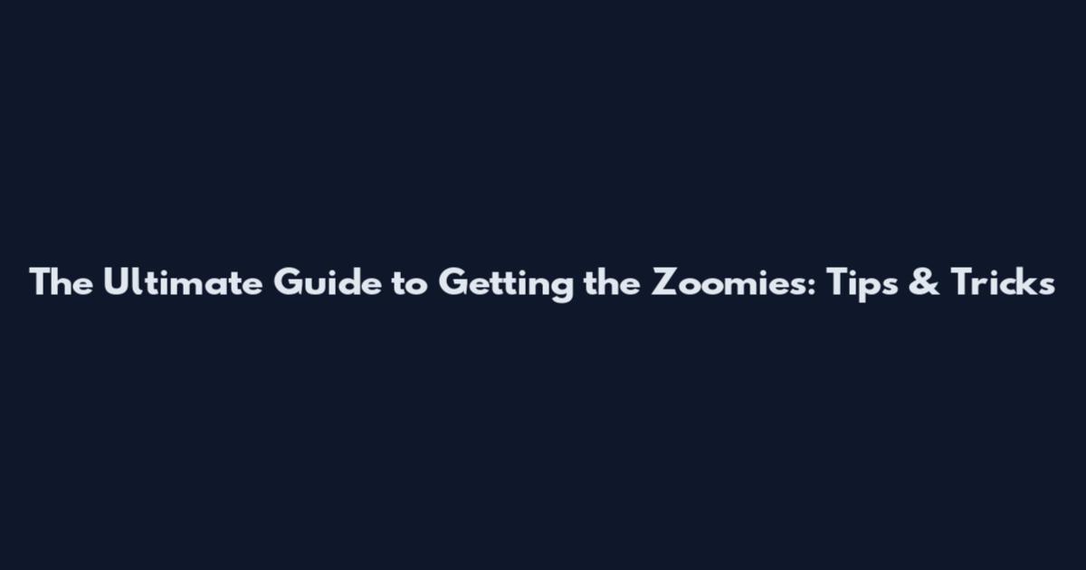 The Ultimate Guide to Getting the Zoomies: Tips & Tricks