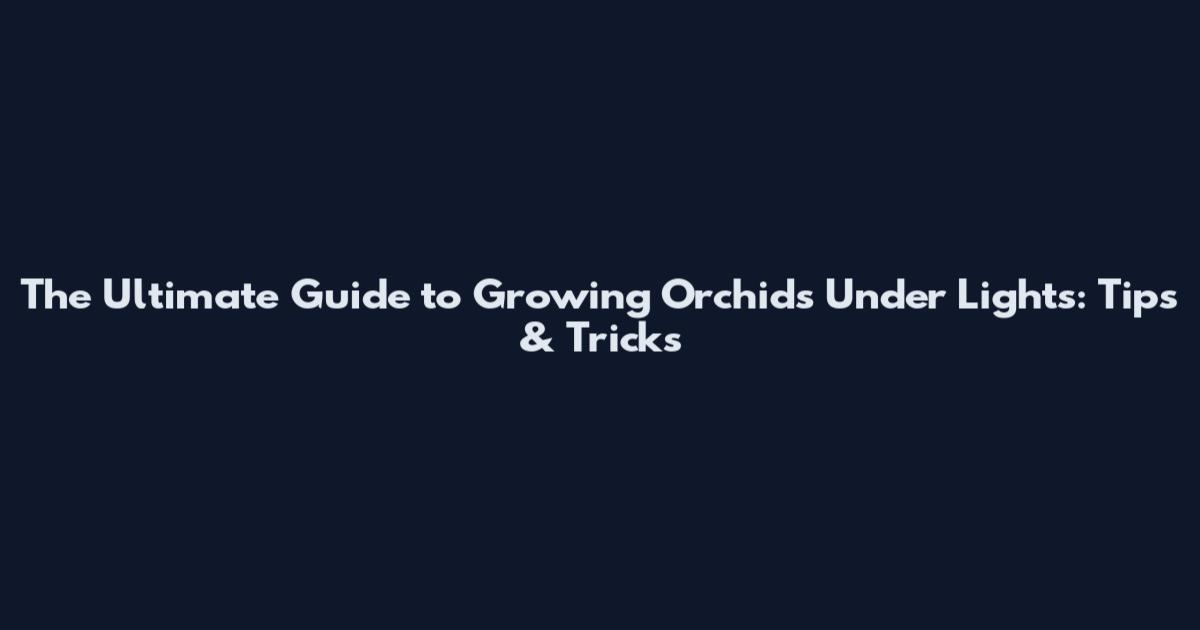 The Ultimate Guide to Growing Orchids Under Lights: Tips & Tricks