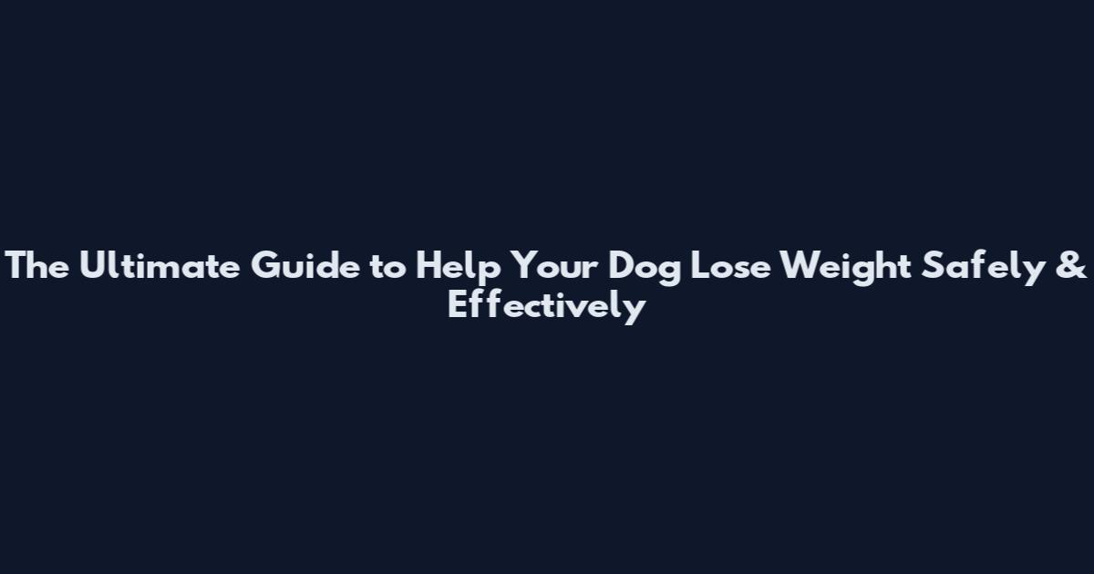 The Ultimate Guide to Help Your Dog Lose Weight Safely & Effectively