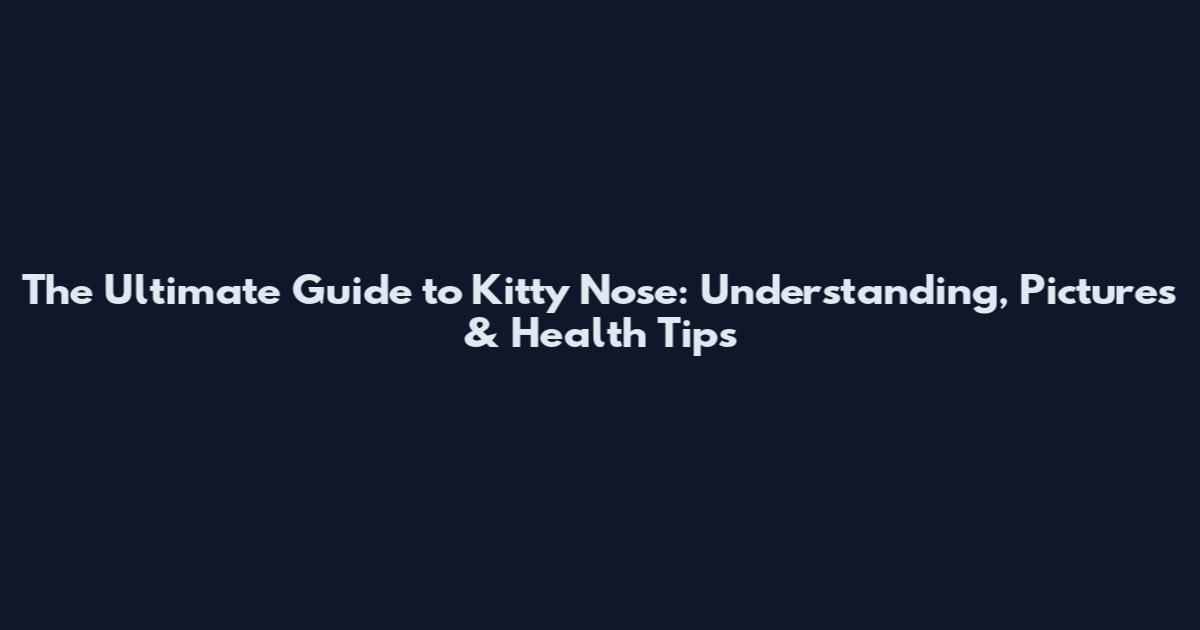 The Ultimate Guide to Kitty Nose: Understanding, Pictures & Health Tips