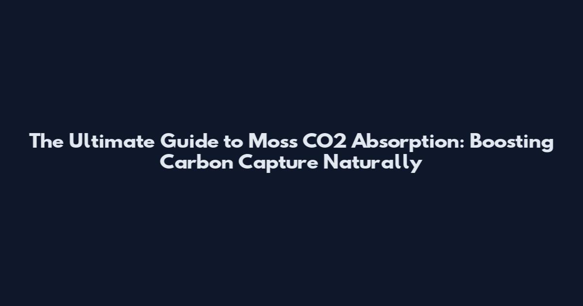 The Ultimate Guide to Moss CO2 Absorption: Boosting Carbon Capture Naturally