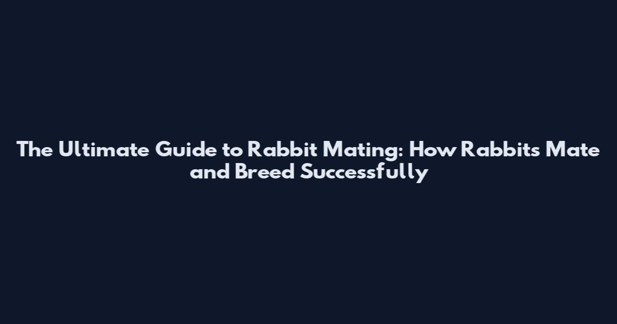 The Ultimate Guide to Rabbit Mating: How Rabbits Mate and Breed Successfully