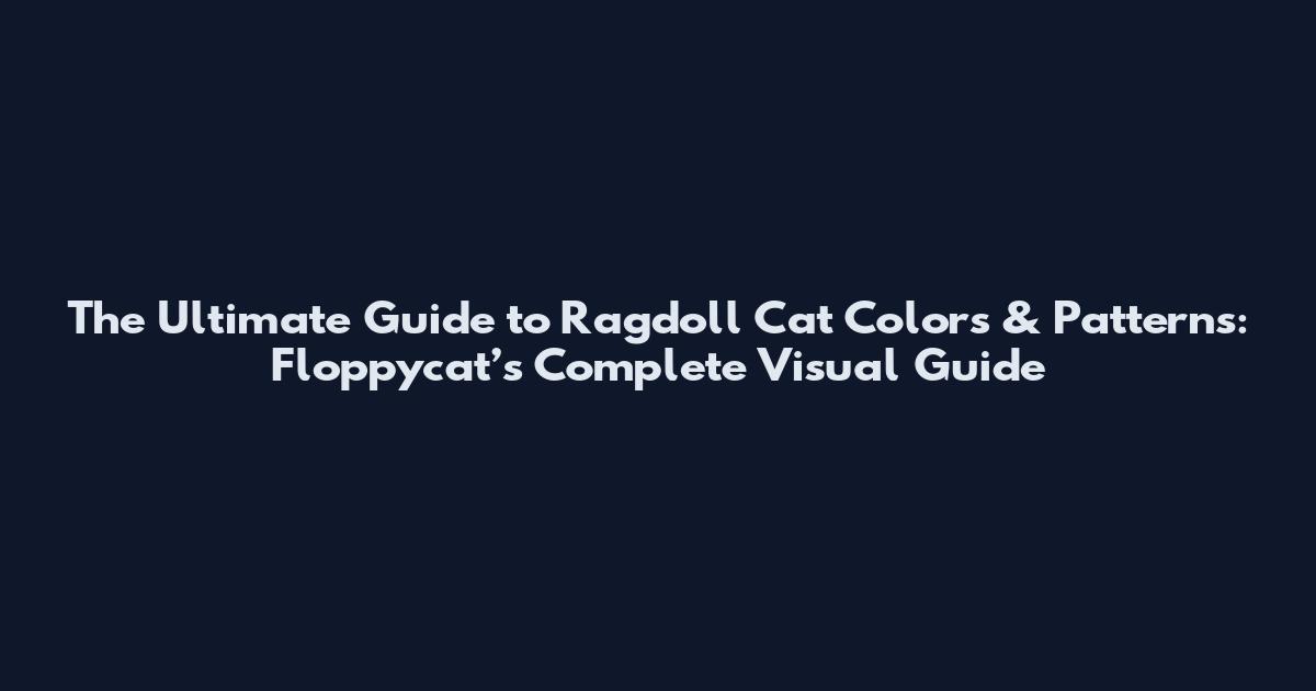 The Ultimate Guide to Ragdoll Cat Colors & Patterns: Floppycat’s Complete Visual Guide