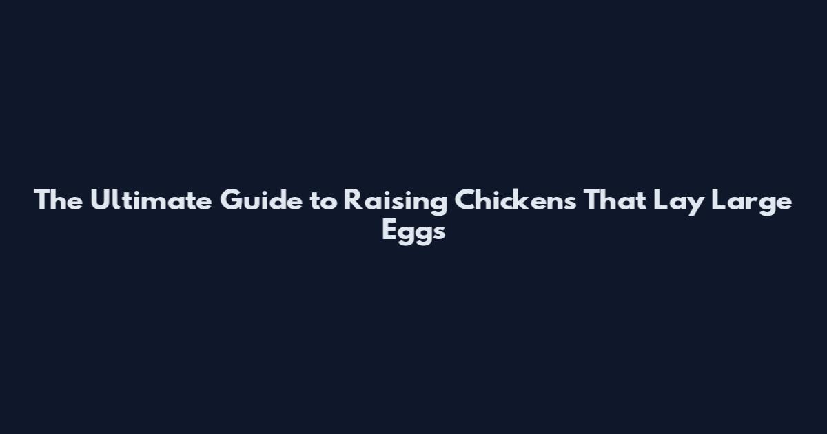 The Ultimate Guide to Raising Chickens That Lay Large Eggs