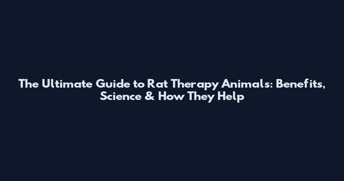 The Ultimate Guide to Rat Therapy Animals: Benefits, Science & How They Help