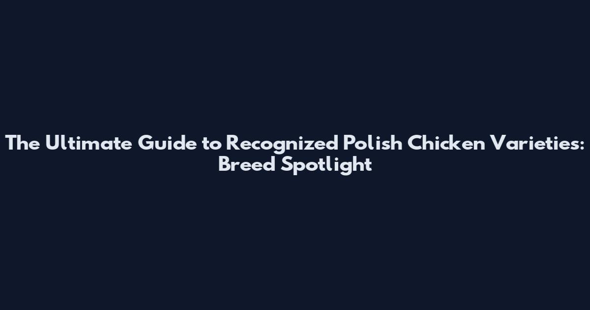 The Ultimate Guide to Recognized Polish Chicken Varieties: Breed Spotlight