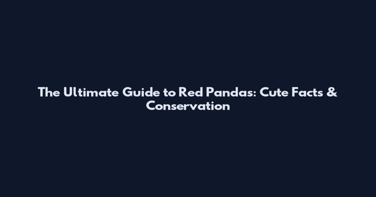 The Ultimate Guide to Red Pandas: Cute Facts & Conservation