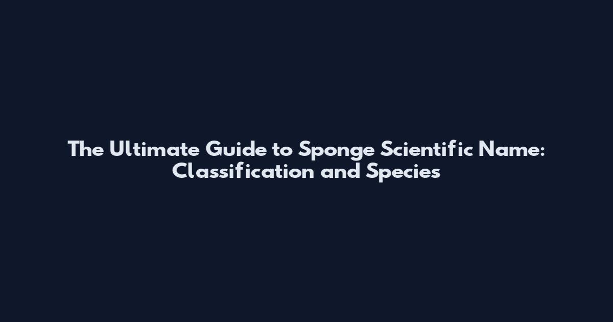 The Ultimate Guide to Sponge Scientific Name: Classification and Species