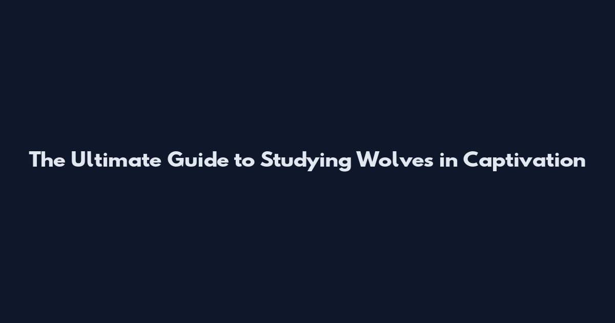 The Ultimate Guide to Studying Wolves in Captivation