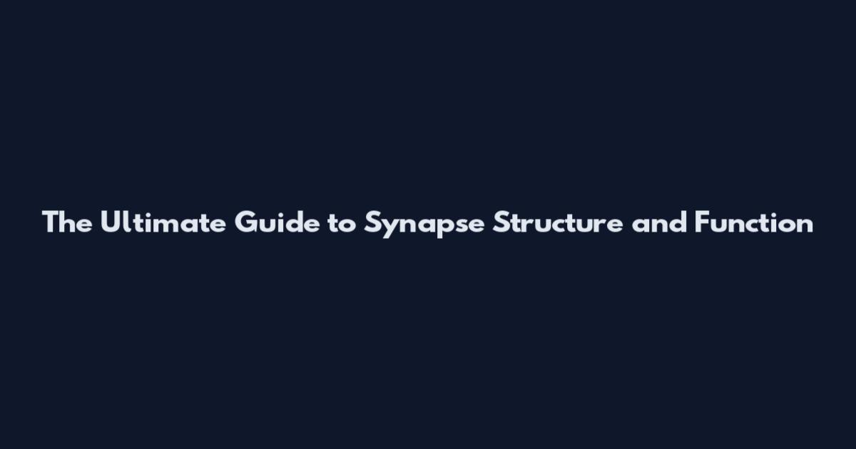 The Ultimate Guide to Synapse Structure and Function