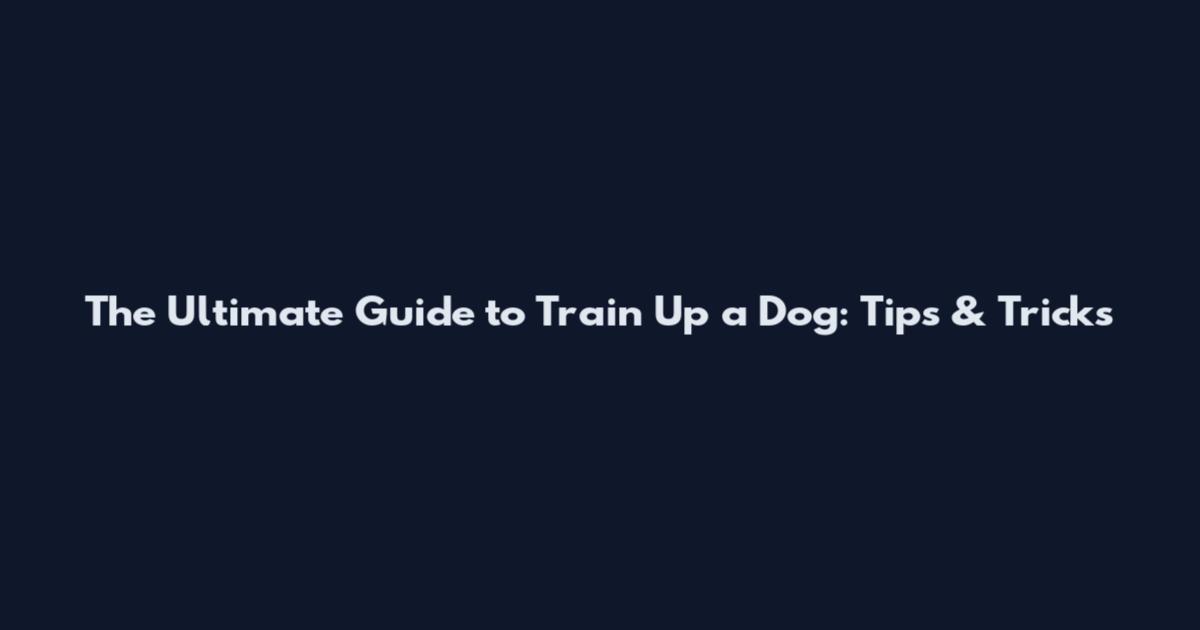 The Ultimate Guide to Train Up a Dog: Tips & Tricks