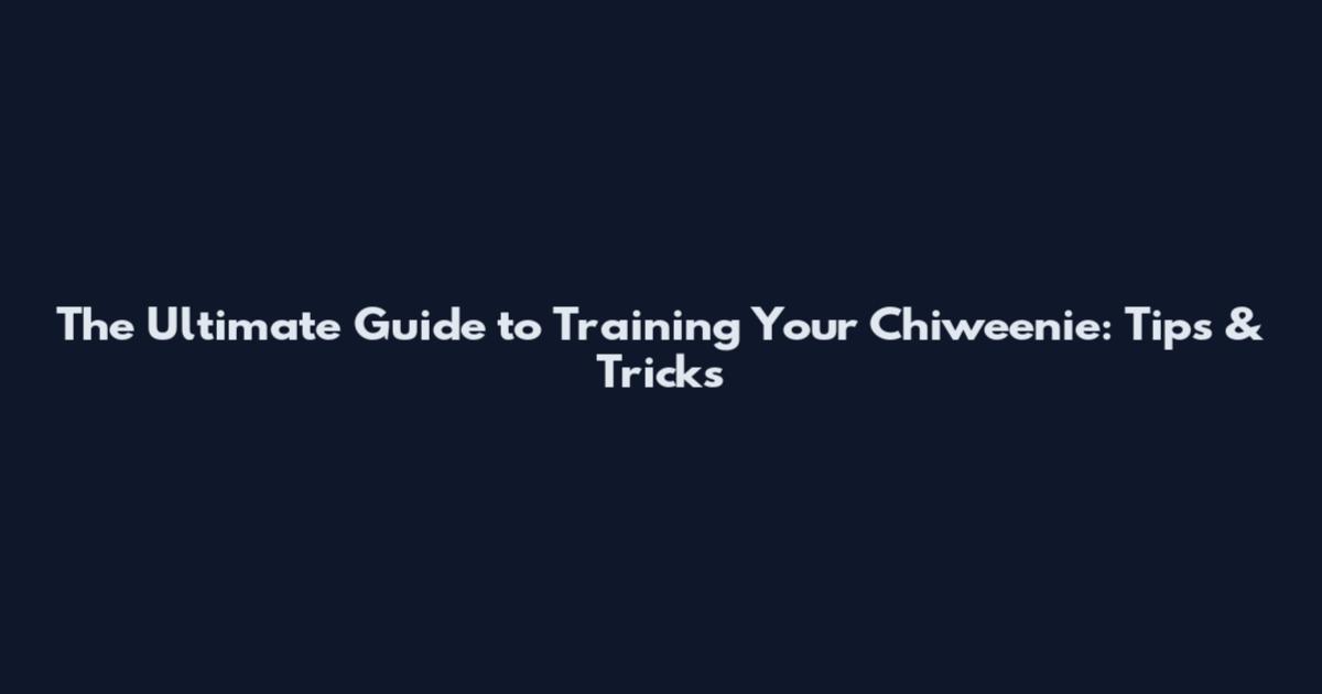 The Ultimate Guide to Training Your Chiweenie: Tips & Tricks