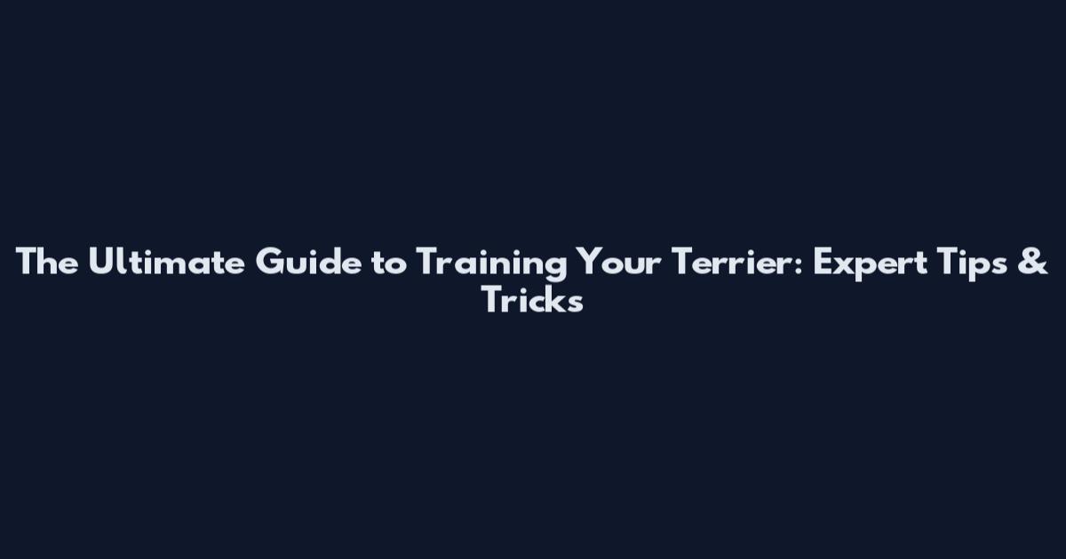 The Ultimate Guide to Training Your Terrier: Expert Tips & Tricks