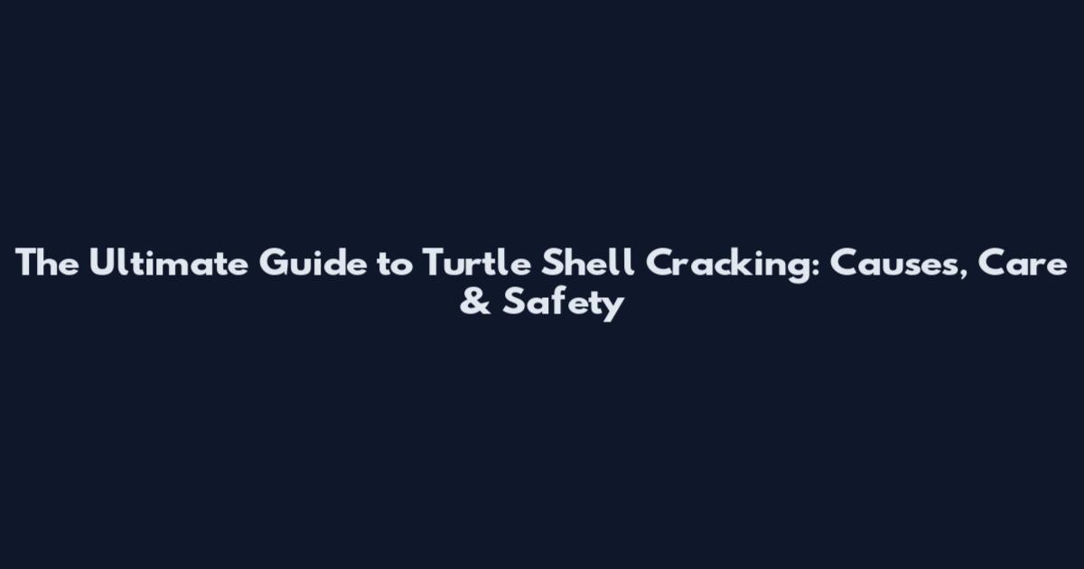 The Ultimate Guide to Turtle Shell Cracking: Causes, Care & Safety