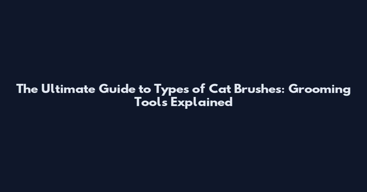 The Ultimate Guide to Types of Cat Brushes: Grooming Tools Explained