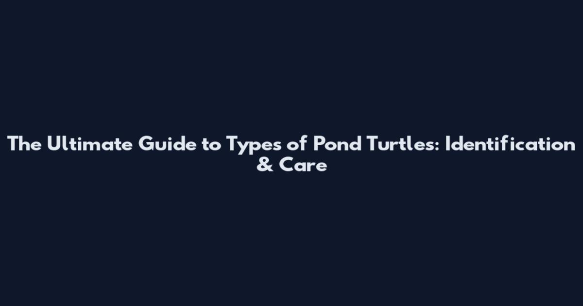 The Ultimate Guide to Types of Pond Turtles: Identification & Care