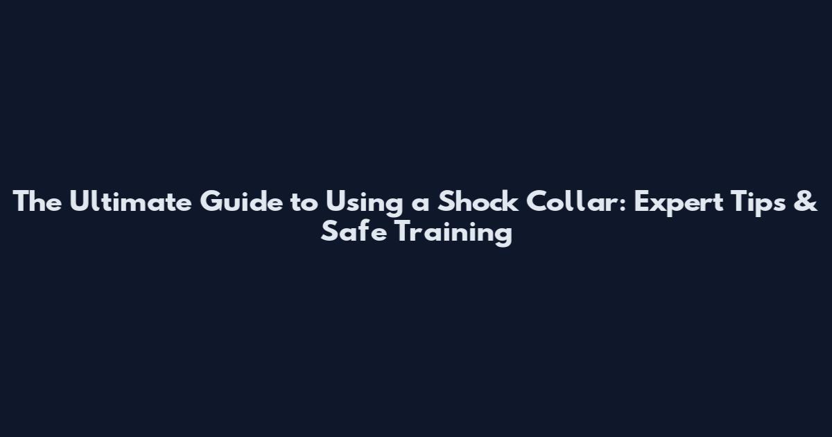 The Ultimate Guide to Using a Shock Collar: Expert Tips & Safe Training