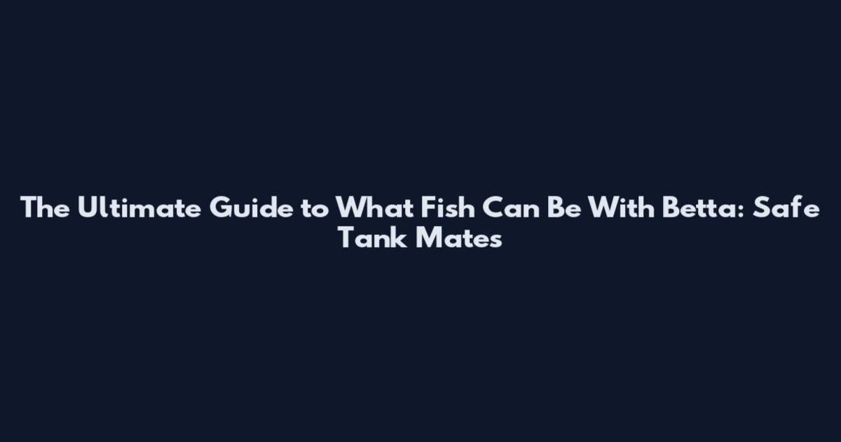 The Ultimate Guide to What Fish Can Be With Betta: Safe Tank Mates