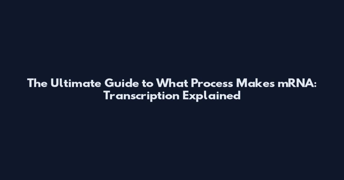 The Ultimate Guide to What Process Makes mRNA: Transcription Explained