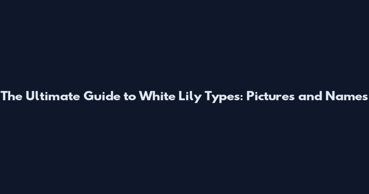 The Ultimate Guide to White Lily Types: Pictures and Names