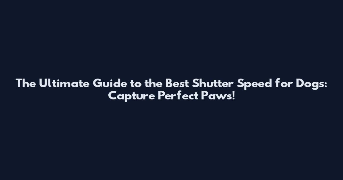 The Ultimate Guide to the Best Shutter Speed for Dogs: Capture Perfect Paws!