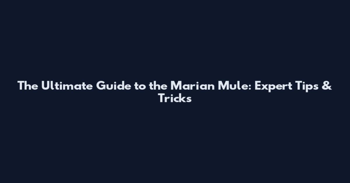 The Ultimate Guide to the Marian Mule: Expert Tips & Tricks