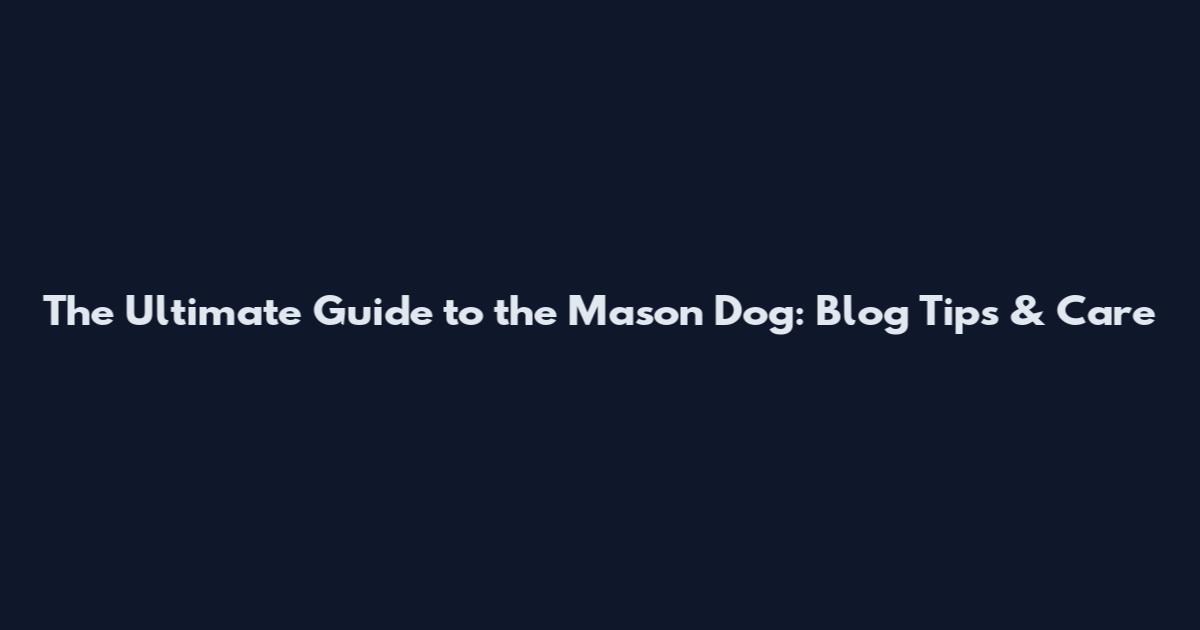 The Ultimate Guide to the Mason Dog: Blog Tips & Care