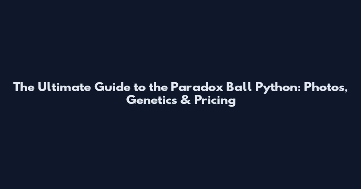 The Ultimate Guide to the Paradox Ball Python: Photos, Genetics & Pricing