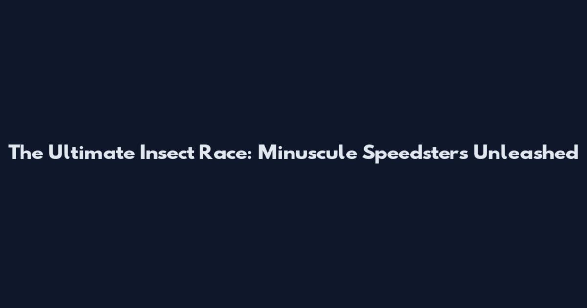 The Ultimate Insect Race: Minuscule Speedsters Unleashed