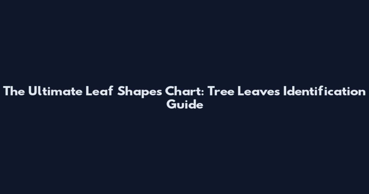 The Ultimate Leaf Shapes Chart: Tree Leaves Identification Guide